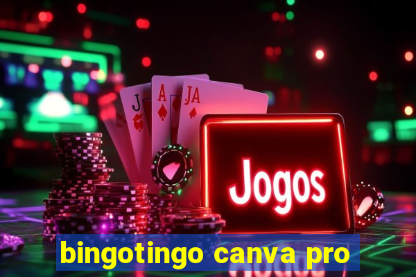 bingotingo canva pro